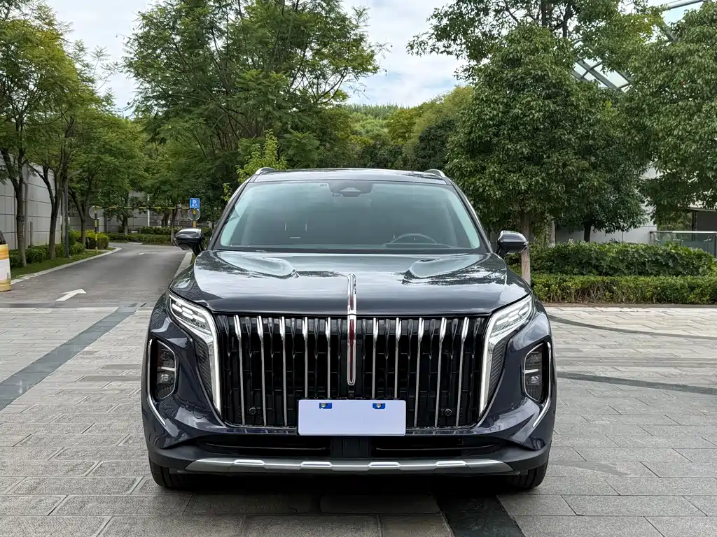 Hongqi Hongqi HS7 — миниатюра 2