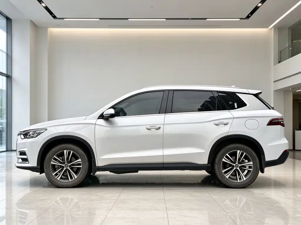BYD Pro — миниатюра 8