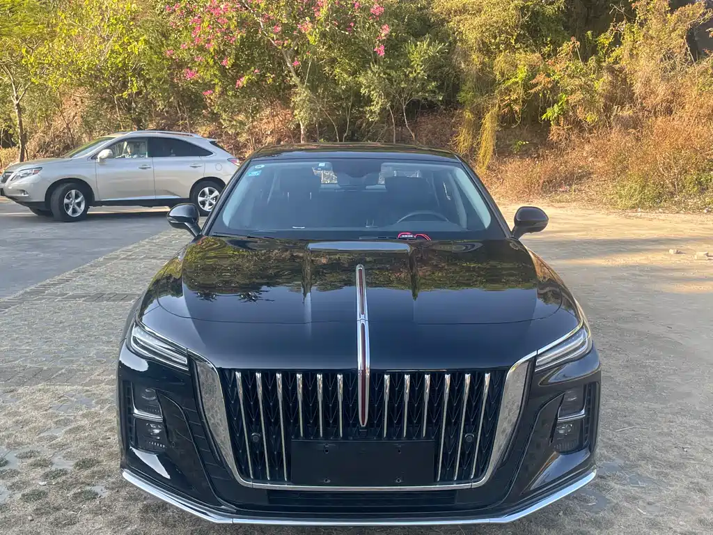 Hongqi HONGQI H5