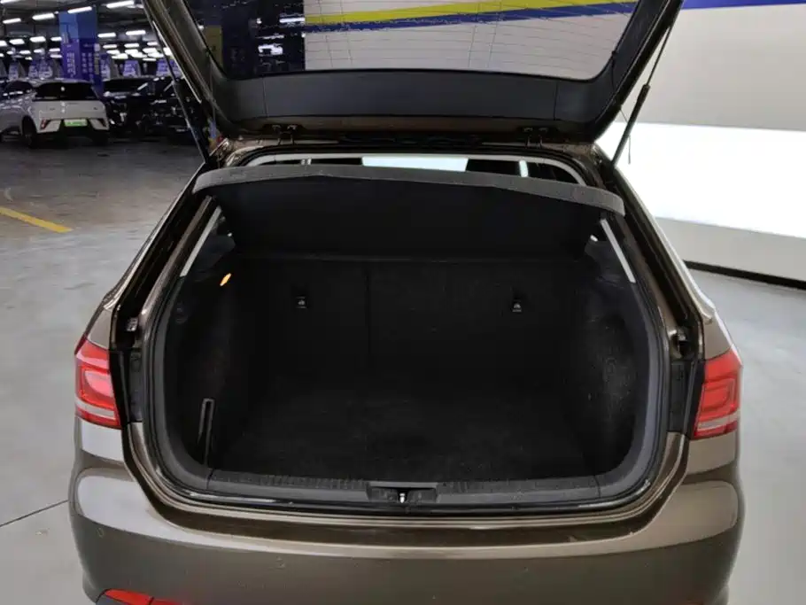 Volkswagen Gran Lavida — миниатюра 4