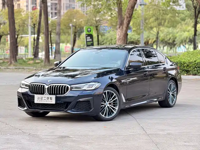 BMW 5 SERIES