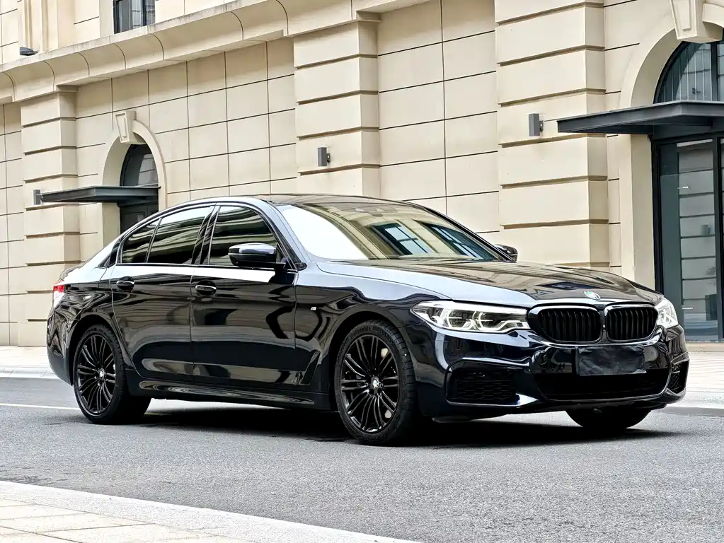 BMW 5 SERIES