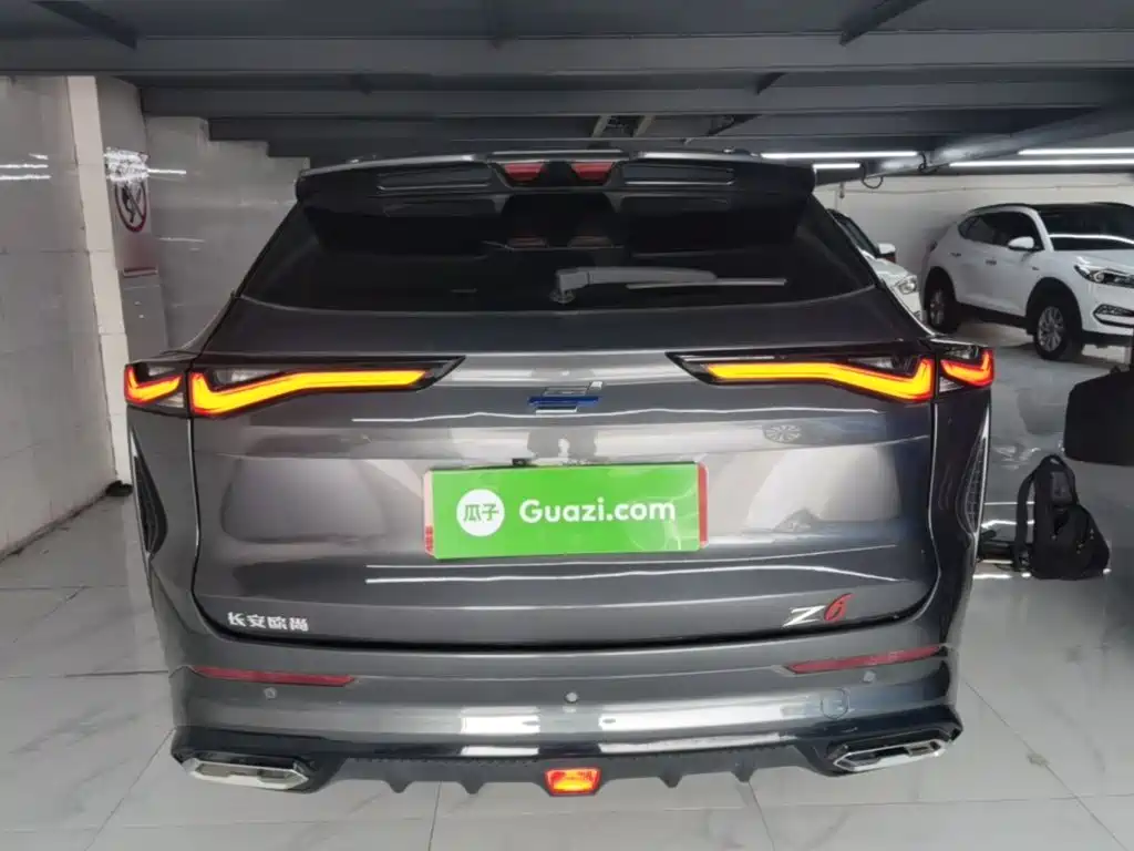 Oshan Oushang Z6 New Energy — миниатюра 6