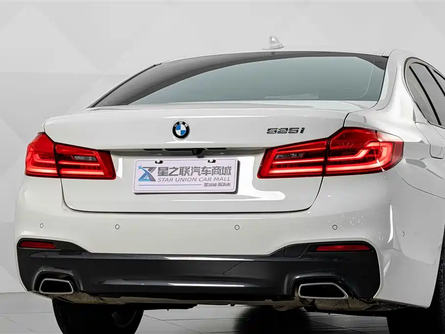 BMW 5 Series (Import) — миниатюра 7
