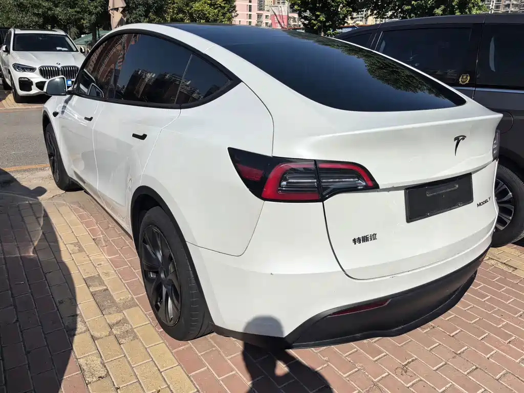 Tesla Model Y — миниатюра 10