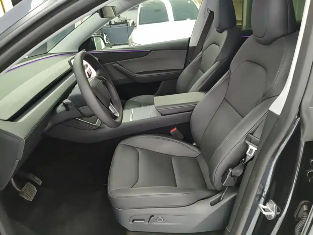 Tesla Model Y — миниатюра 15