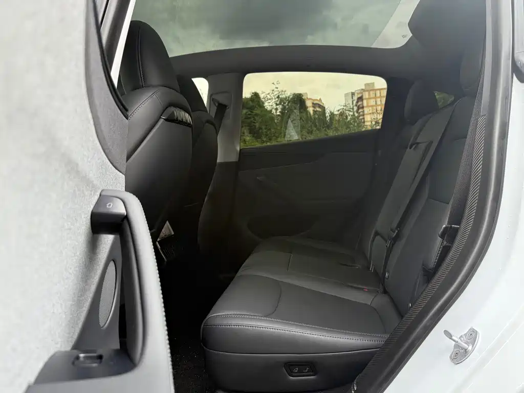 Tesla Model Y — миниатюра 6