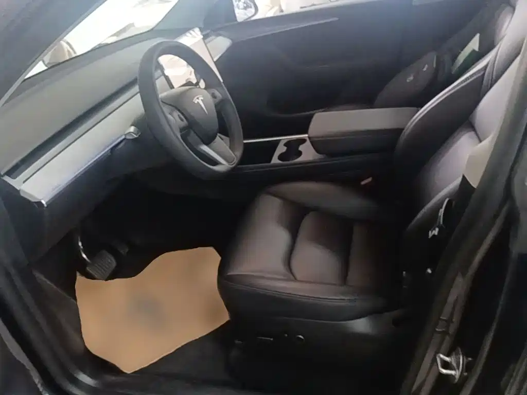 Tesla Model Y — миниатюра 15