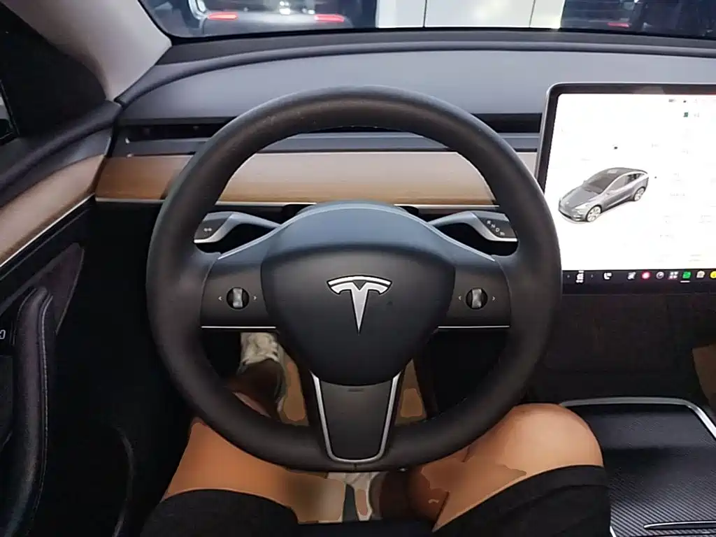 Tesla Model Y — миниатюра 11