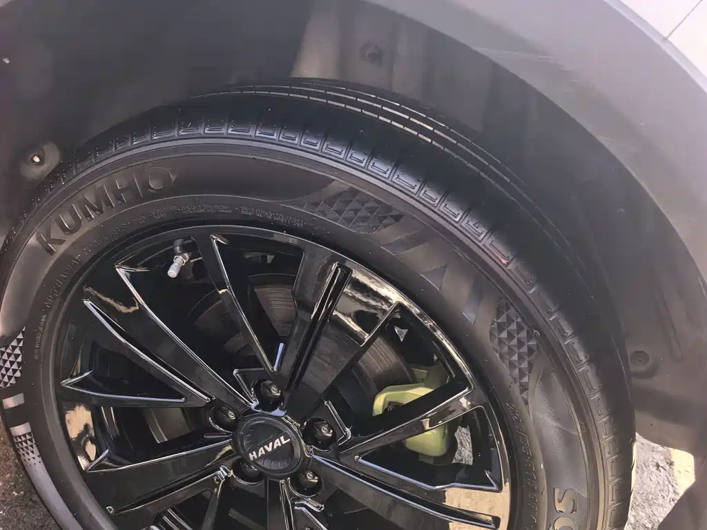 Haval Chitu — миниатюра 16