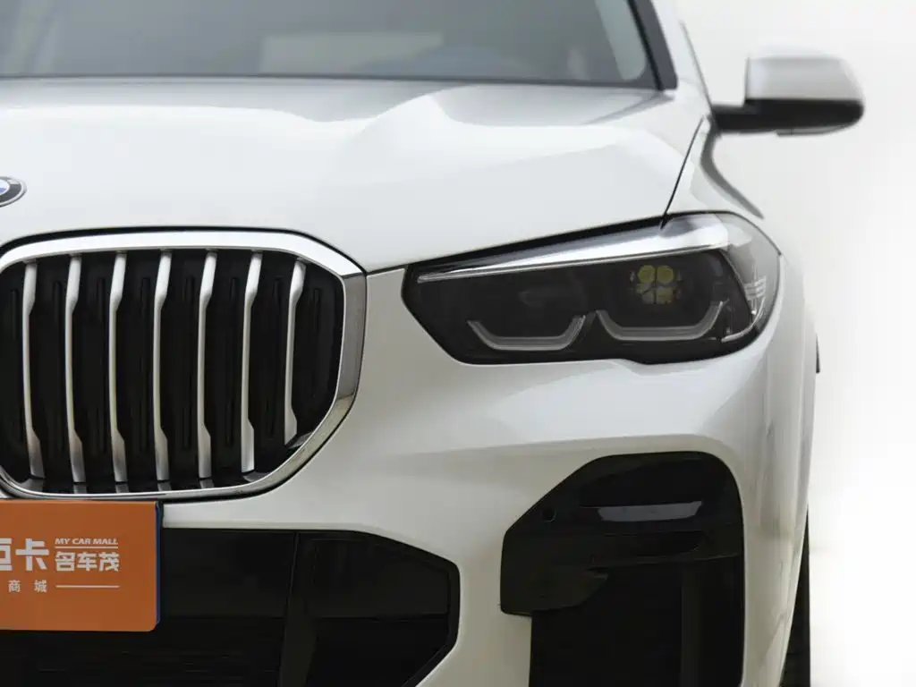 BMW X5 (Import) — миниатюра 13
