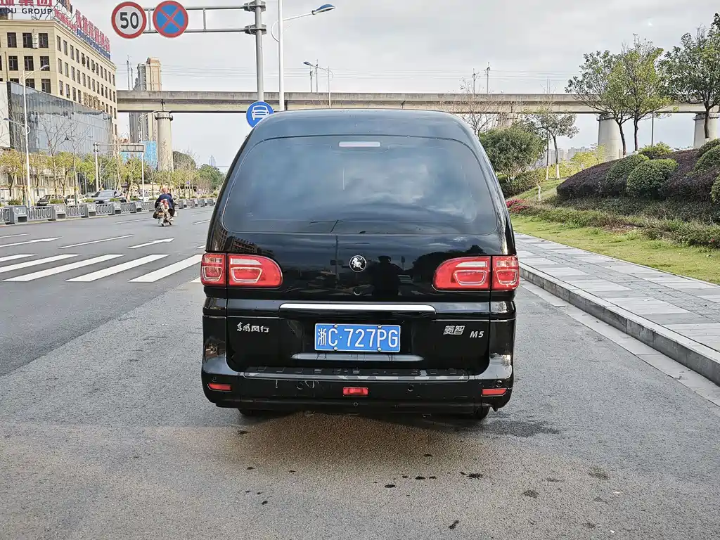 DONGFENG LINGZHI