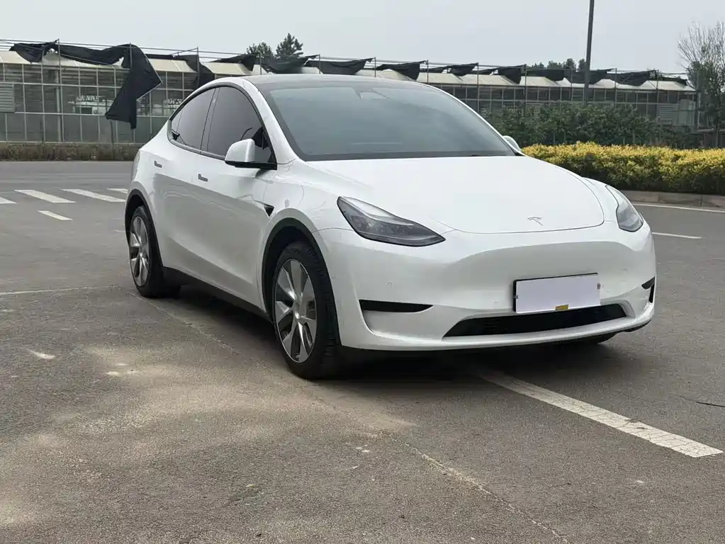 Tesla Model Y — миниатюра 3