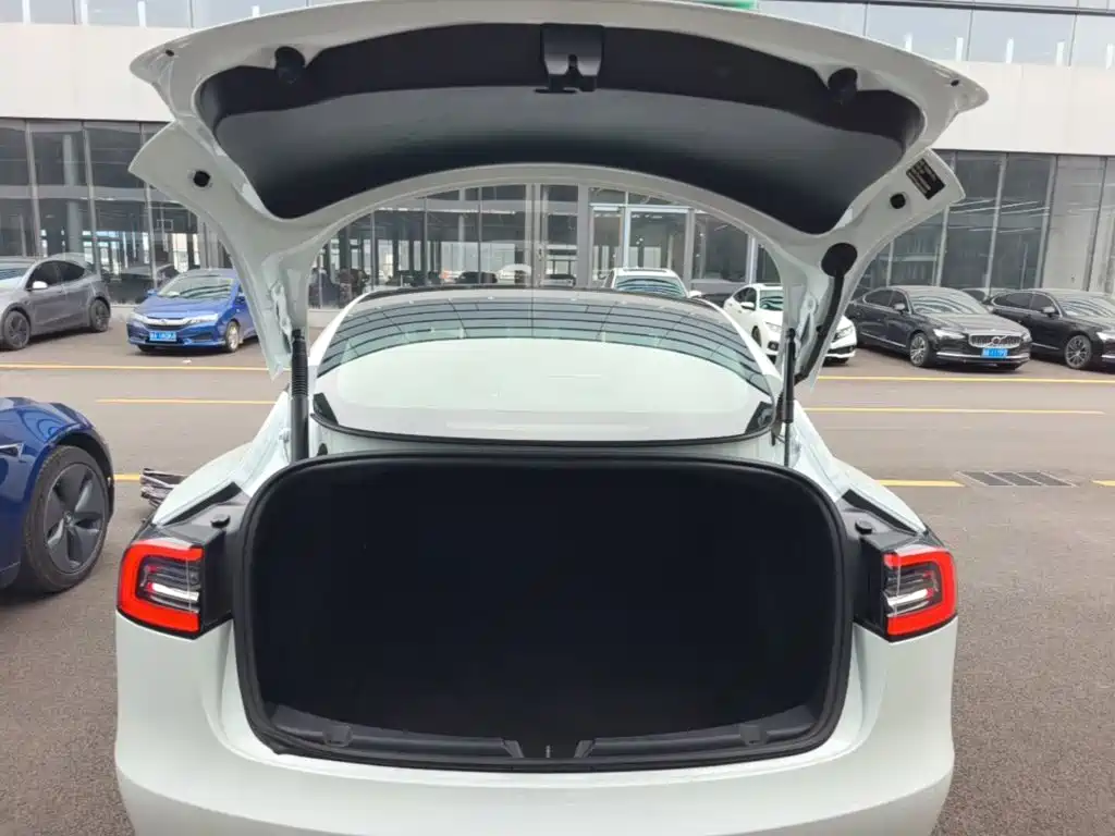 Tesla Model 3 — миниатюра 19