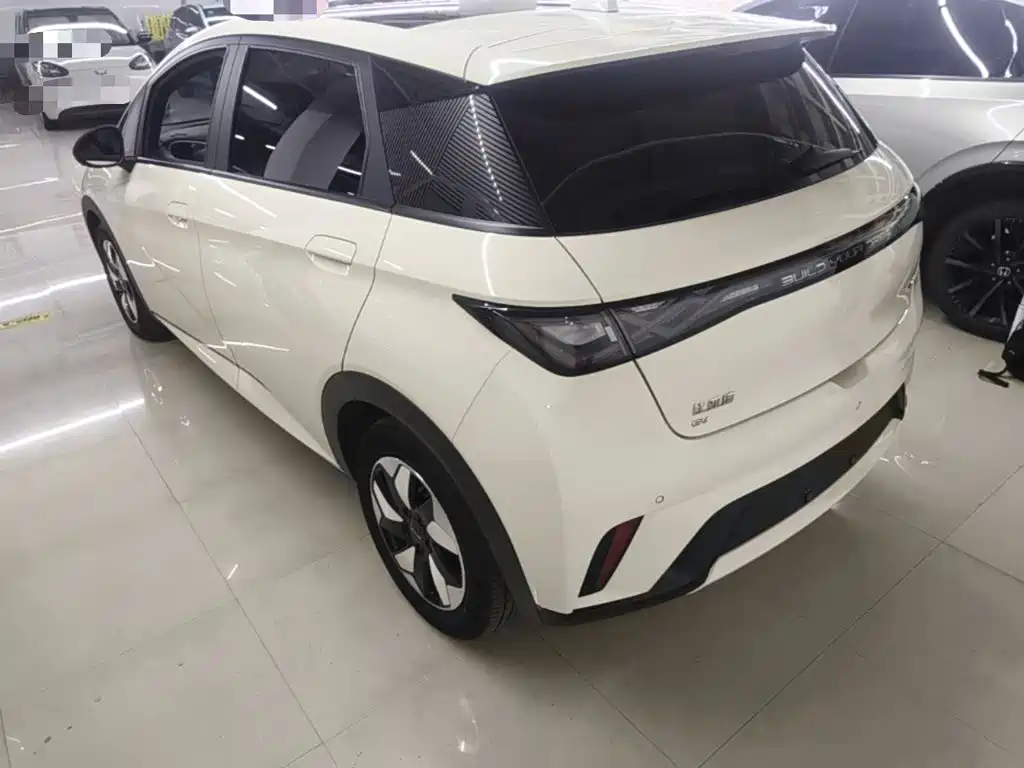 BYD Dolphin — миниатюра 5