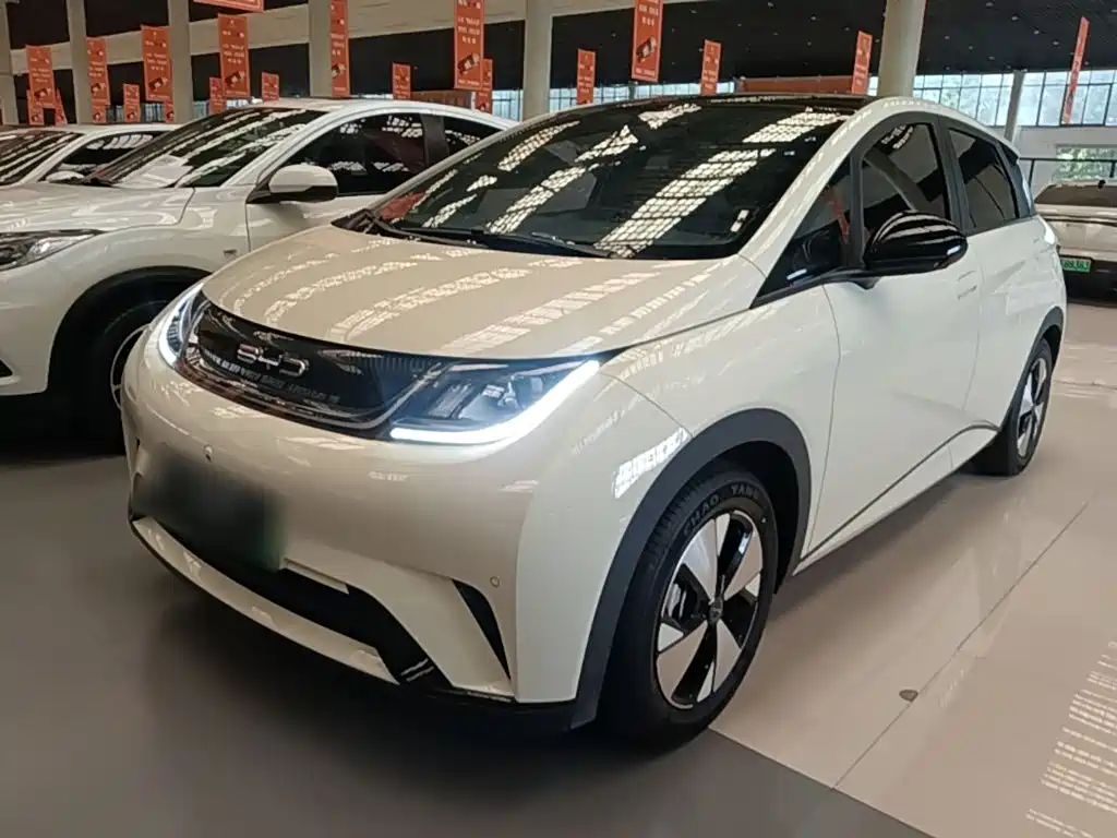 BYD Dolphin — миниатюра 2