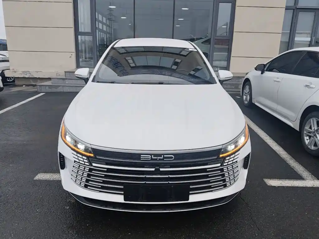 BYD Destroyer 05 2024 DM-i 55KM Luxury