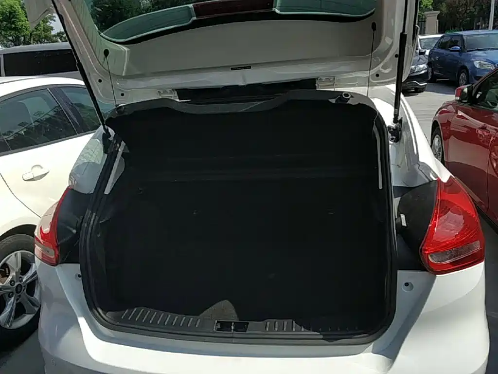 Ford Focus — миниатюра 19