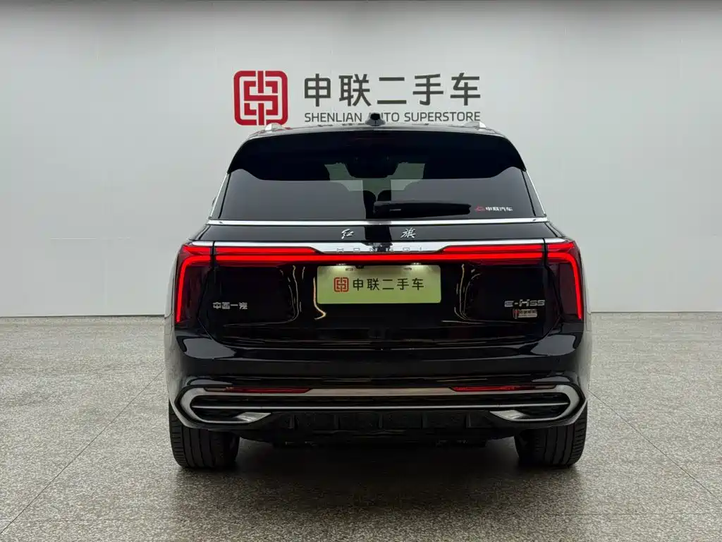 Hongqi Hongqi E-HS9 — миниатюра 4