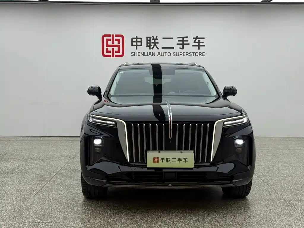 Hongqi Hongqi E-HS9 — миниатюра 5