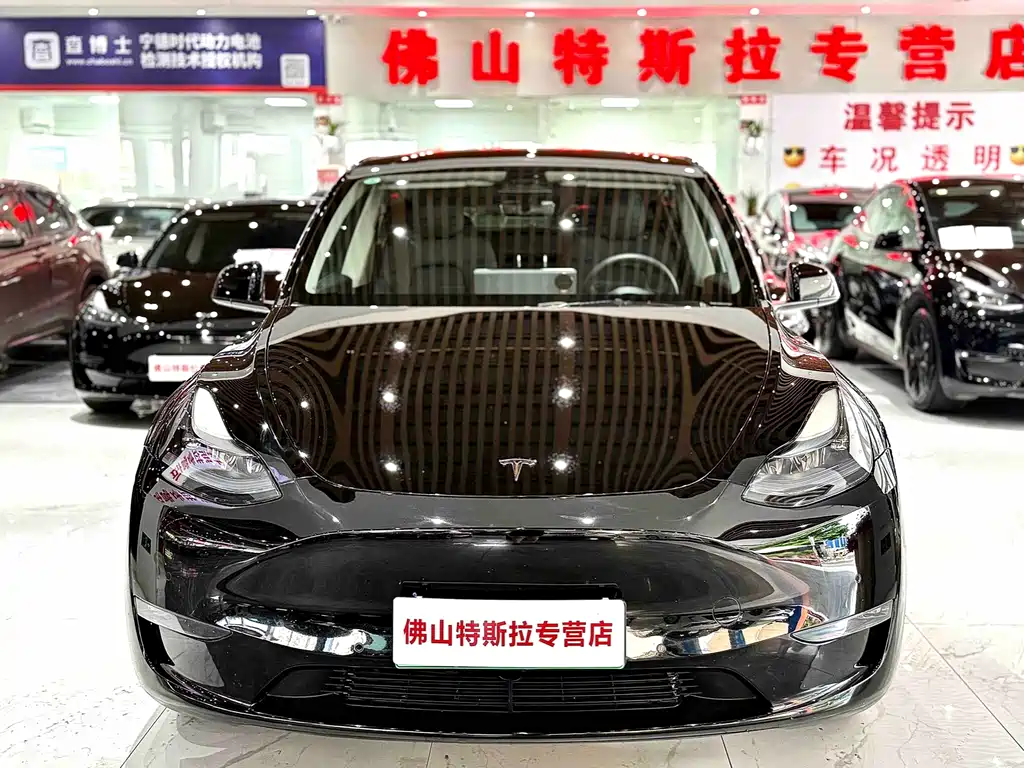 Tesla Model Y — миниатюра 5