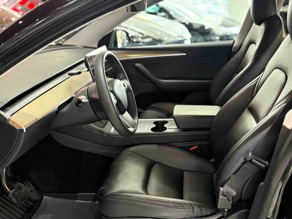 Tesla Model Y — миниатюра 7