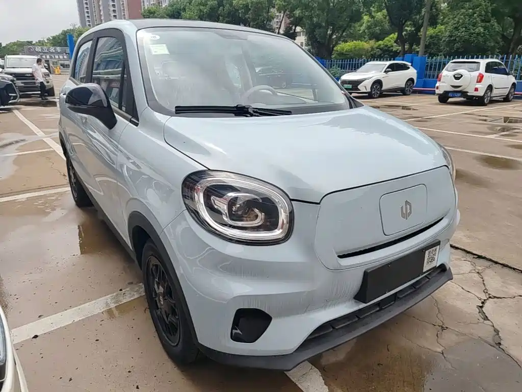 Leapmotor T03 2025 310