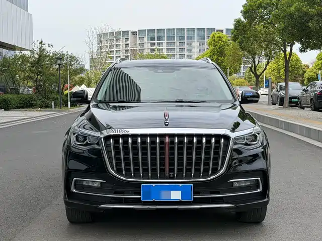 2021 Hongqi HS7