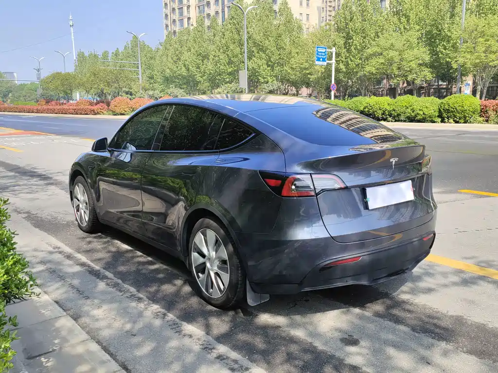 Tesla Model Y — миниатюра 7
