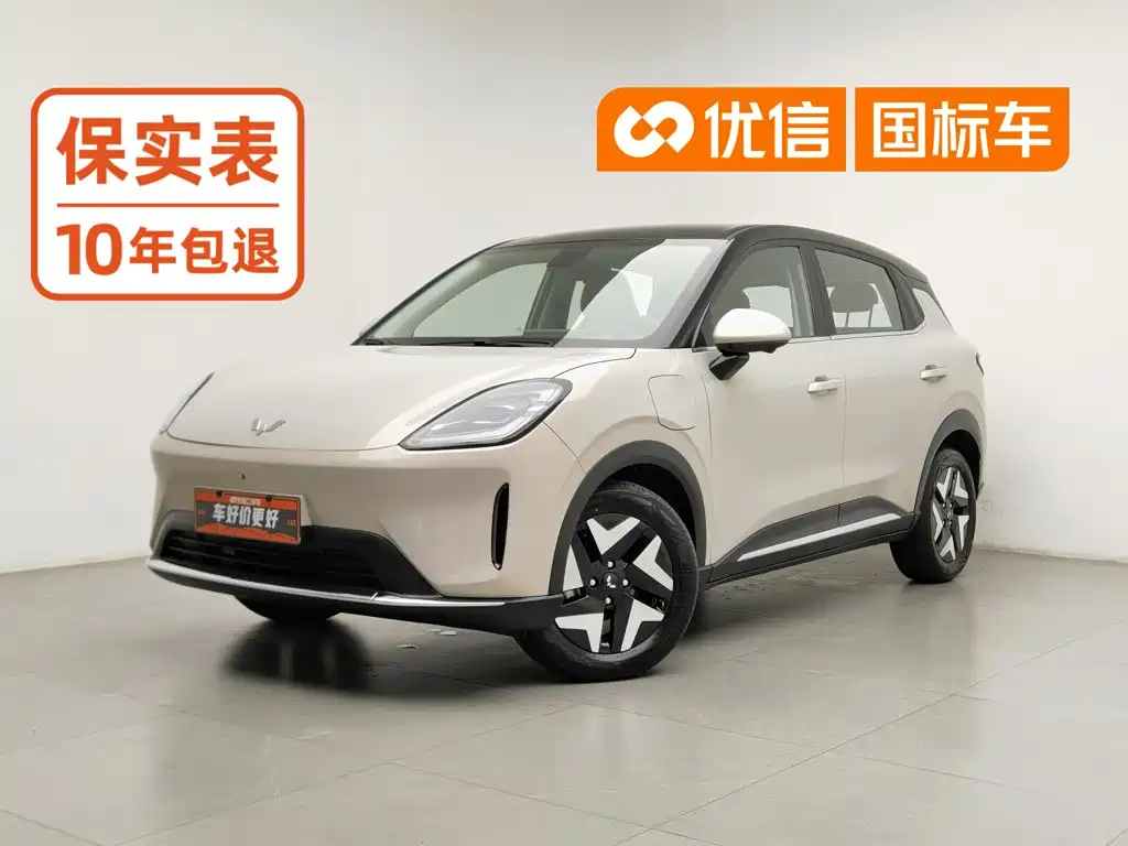 Wuling Binguo S