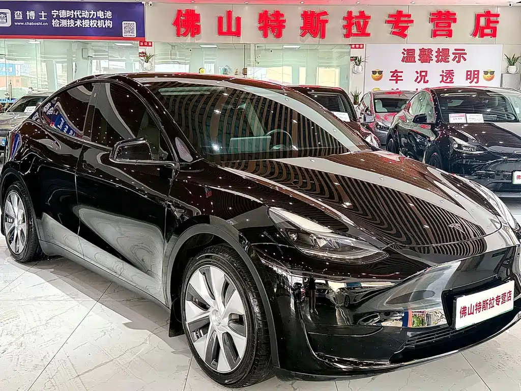 Tesla Model Y — миниатюра 2