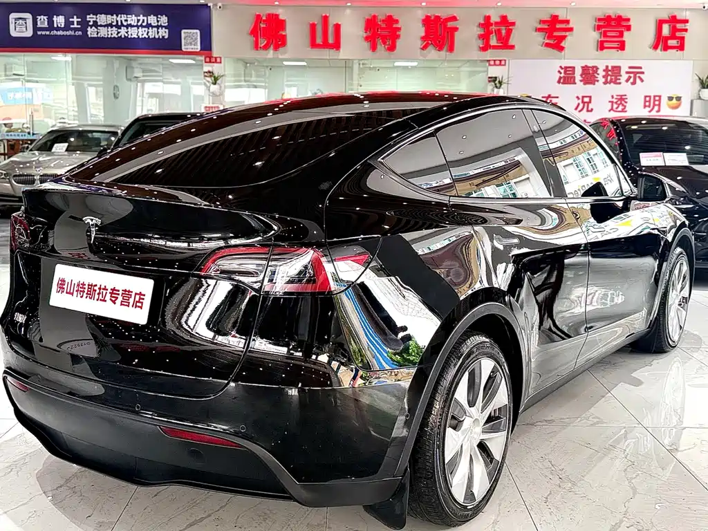 Tesla Model Y — миниатюра 4