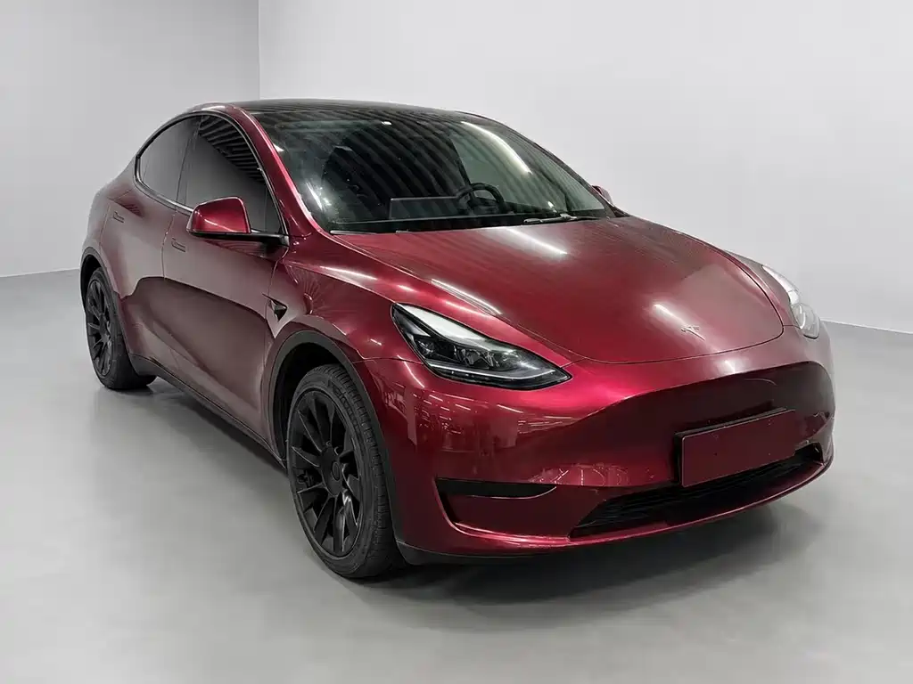 Tesla Model Y — миниатюра 3