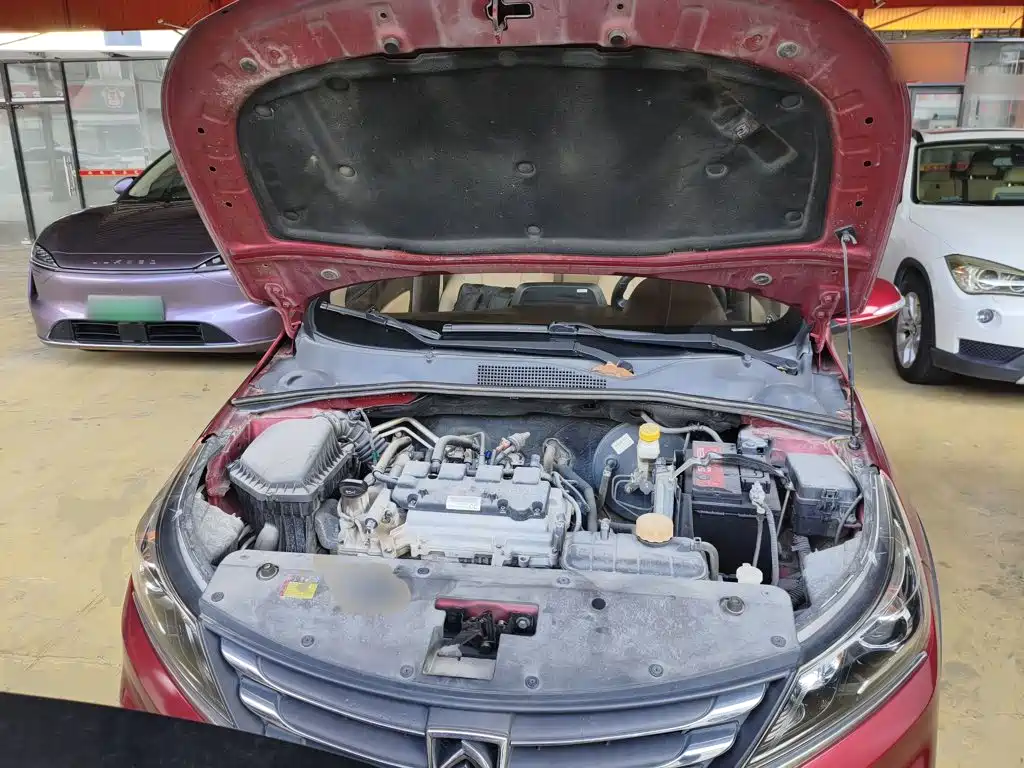 Baojun 310W — миниатюра 20