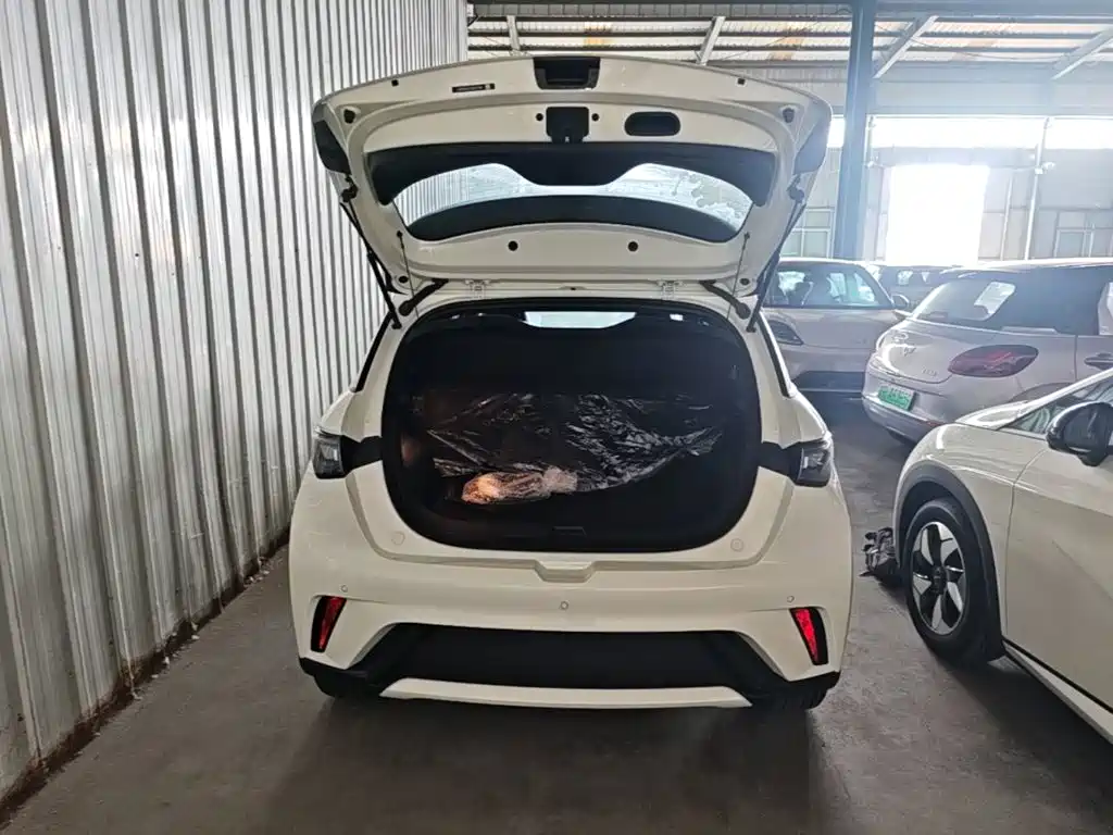 BYD Dolphin — миниатюра 19
