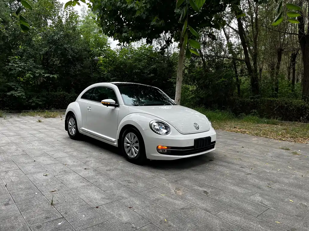 Volkswagen Beetle — миниатюра 5