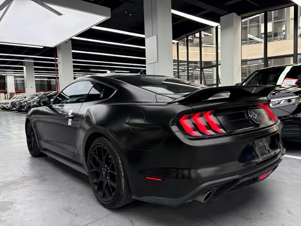Ford Mustang — миниатюра 16