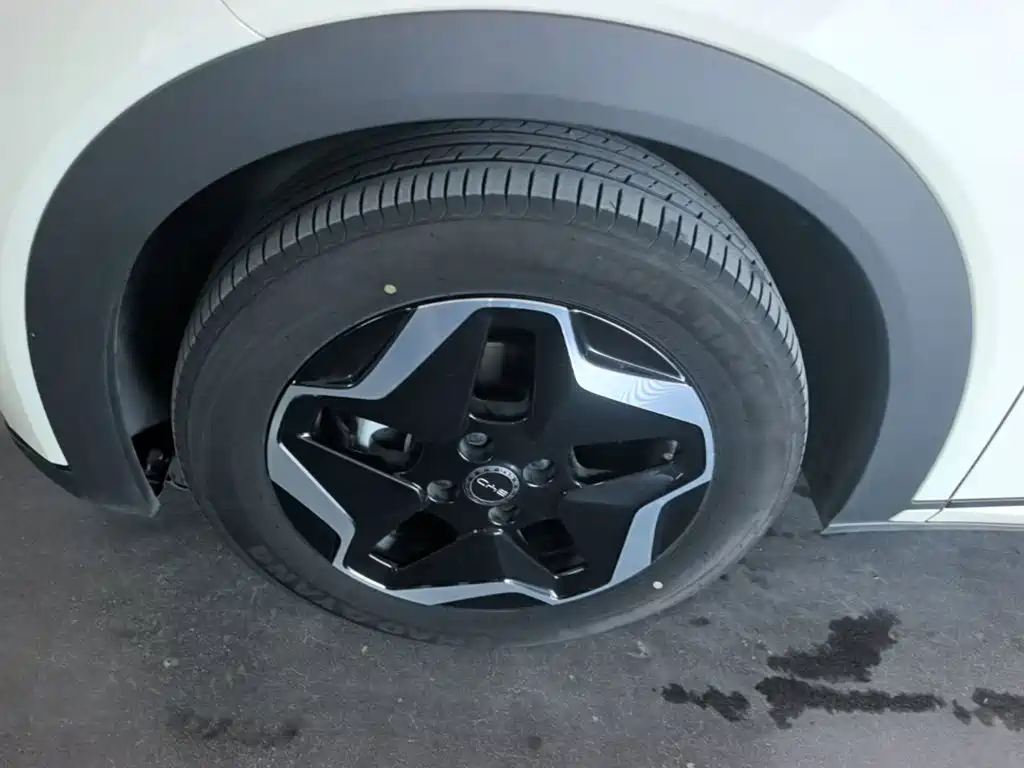 BYD Dolphin — миниатюра 23
