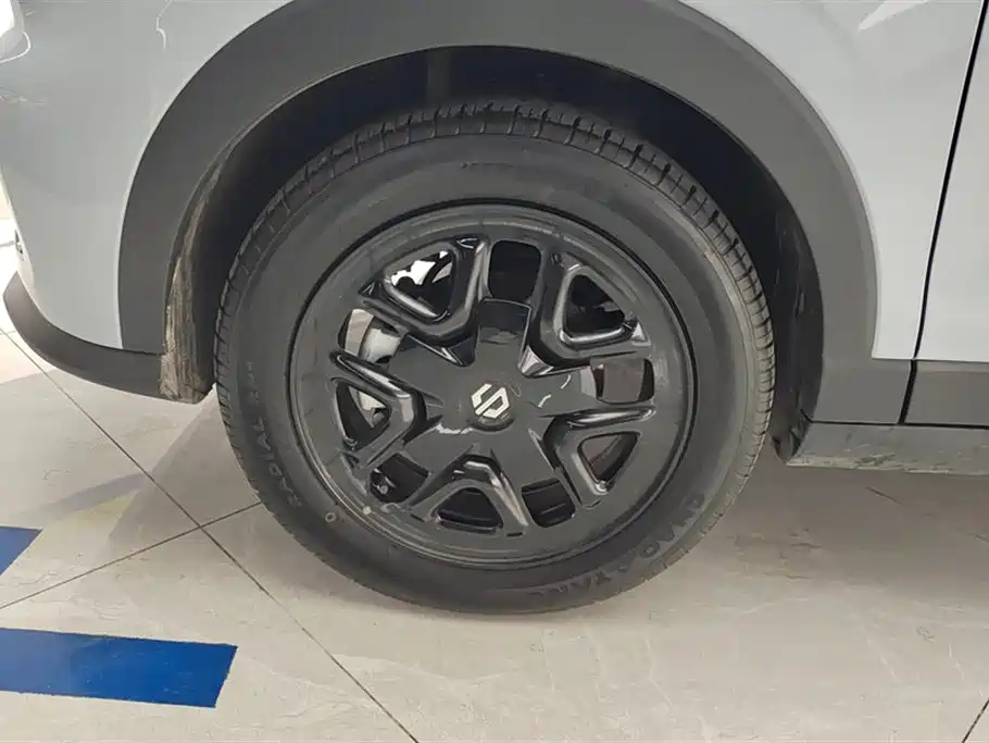 Leapmotor T03 2025 310