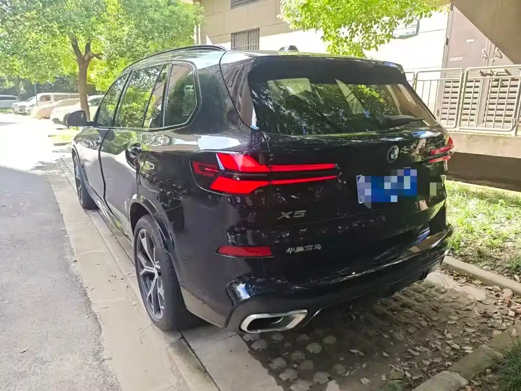 BMW X5 — миниатюра 6