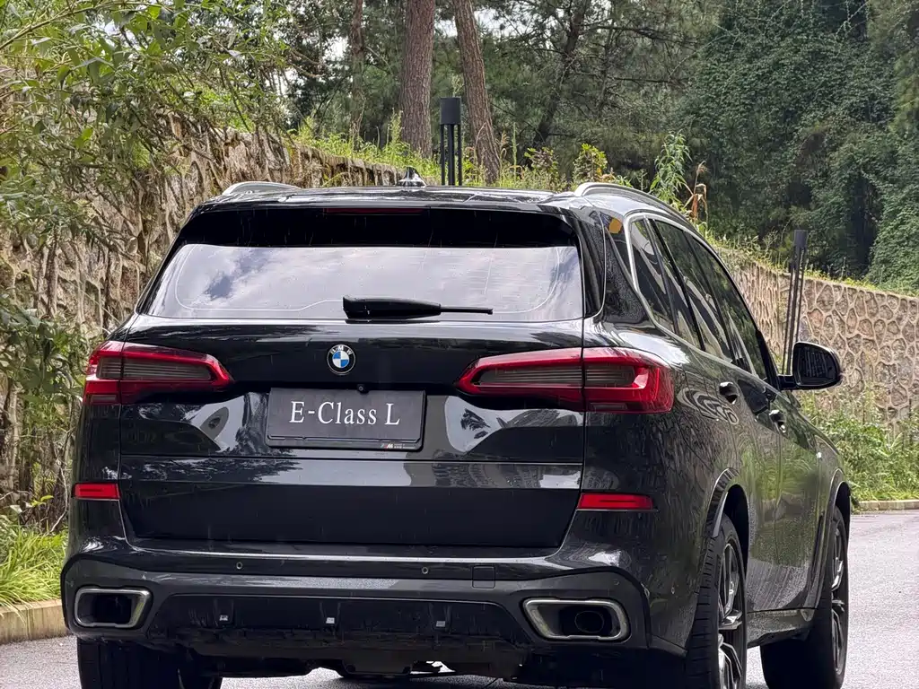 BMW X5 (Import) — миниатюра 9