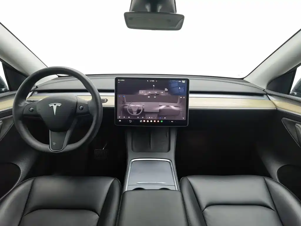 Tesla Model Y — миниатюра 5