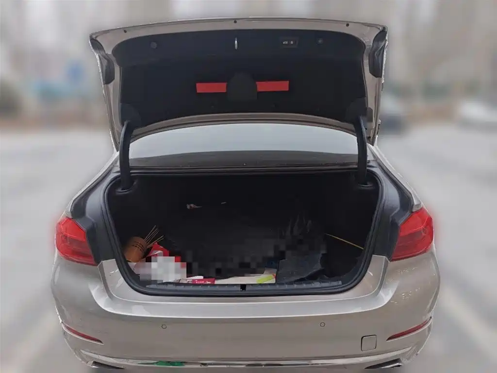 BMW 5 Series 5 2020 530Li Premium Luxury