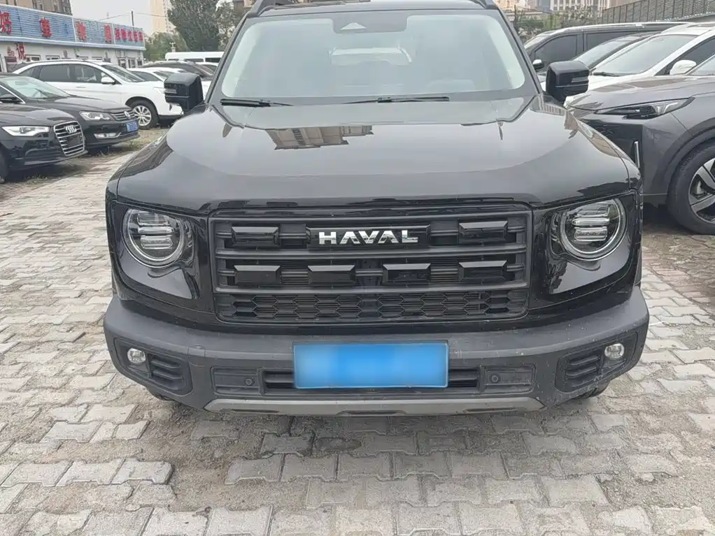 Haval Big Dog — миниатюра 6