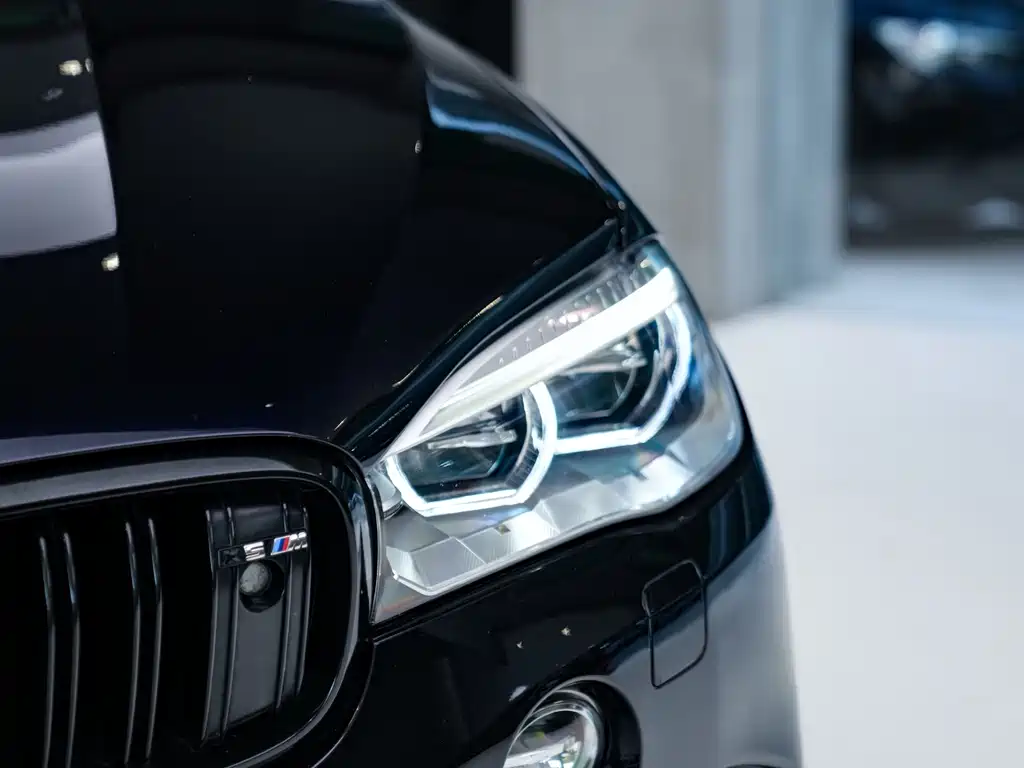 BMW X5 M — миниатюра 18