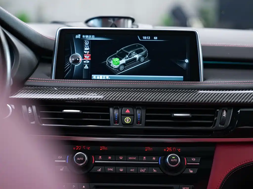 BMW X5 M — миниатюра 10