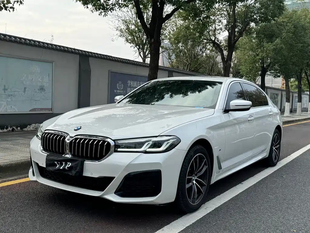 BMW 5 SERIES