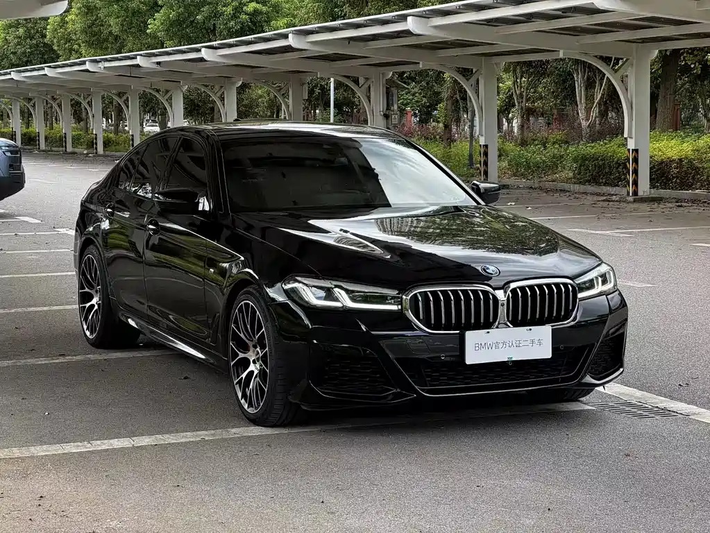 BMW 5 Series (Import) — миниатюра 11