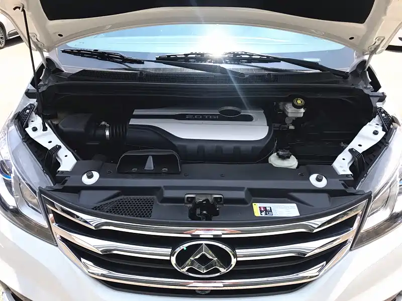 SAIC MAXUS CHASE G10