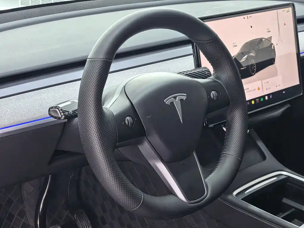 Tesla Model Y — миниатюра 9